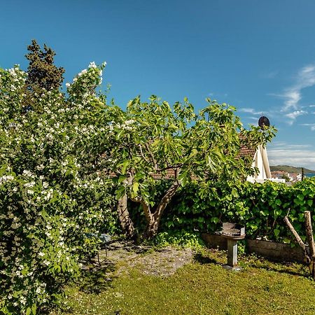 Green Garden Apartments Herceg Novi Bagian luar foto