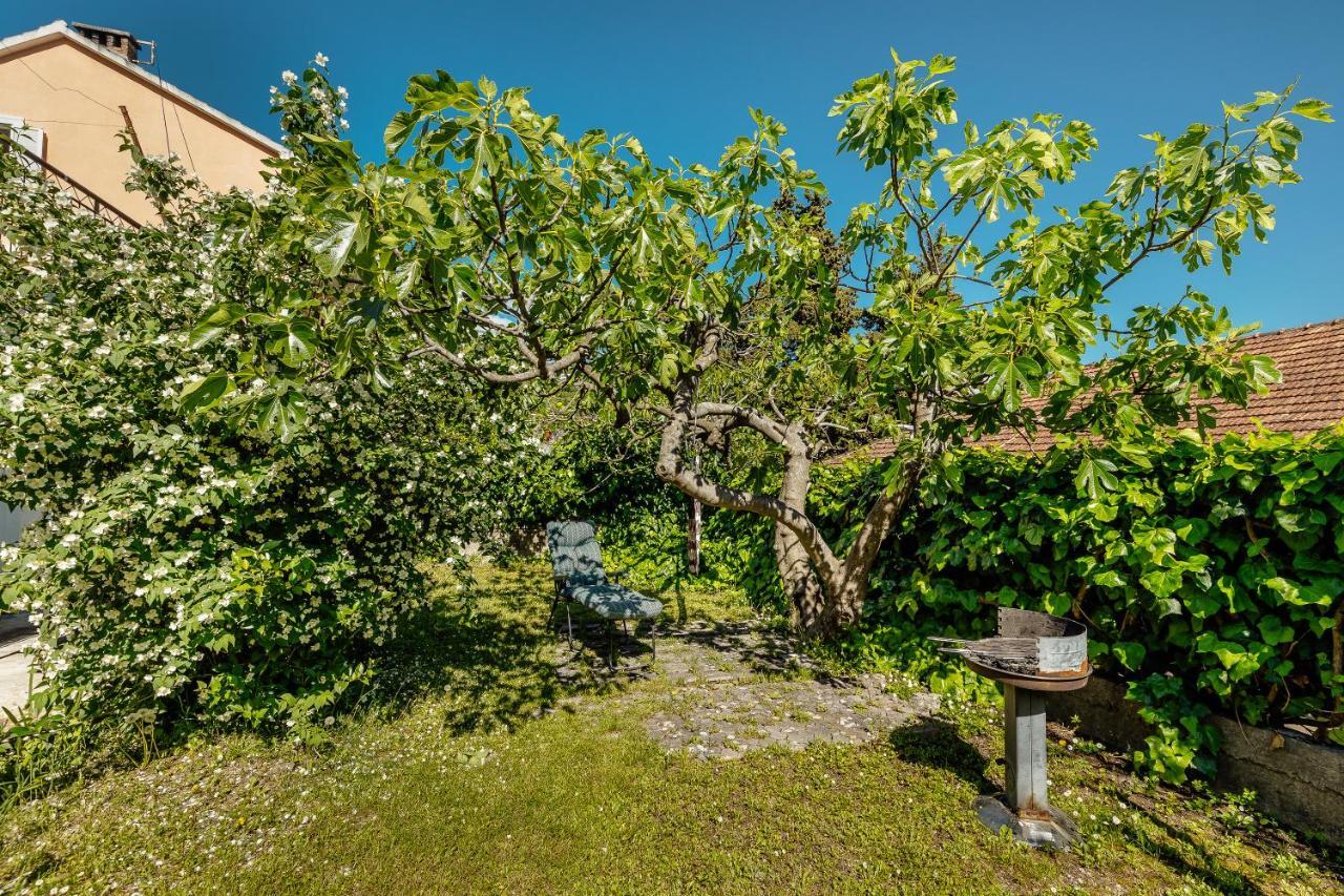 Green Garden Apartments Herceg Novi Bagian luar foto