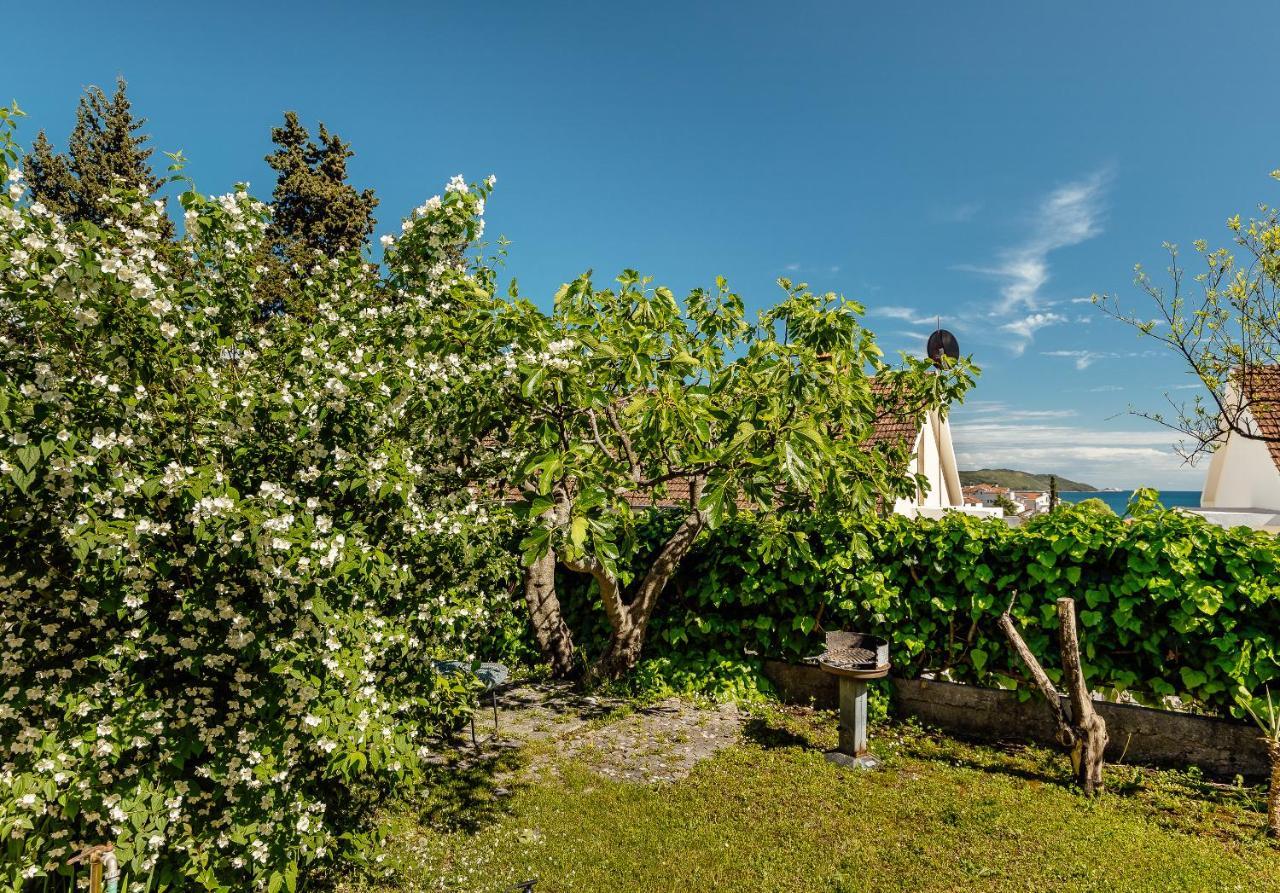 Green Garden Apartments Herceg Novi Bagian luar foto