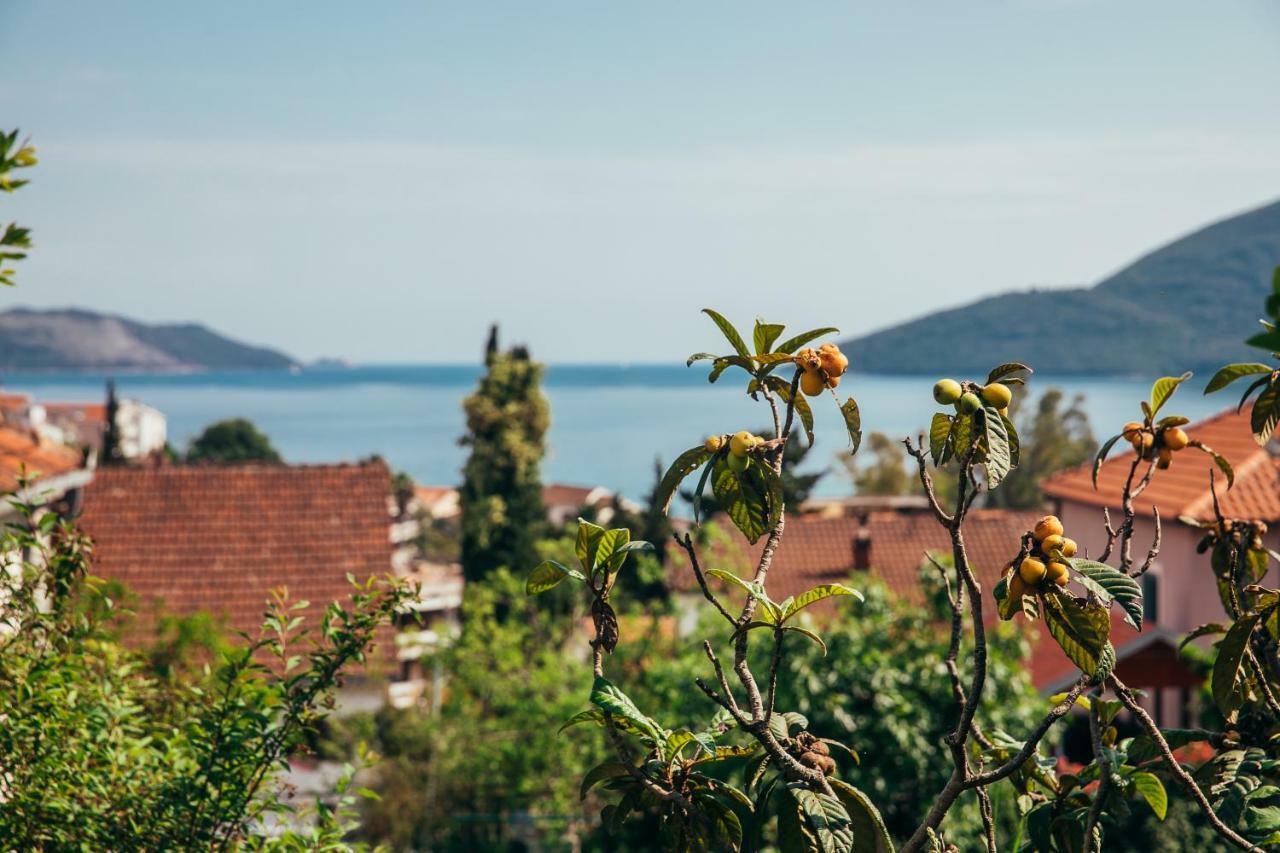 Green Garden Apartments Herceg Novi Bagian luar foto